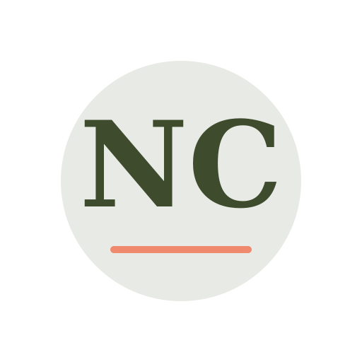 Novar Chimney Repair logo